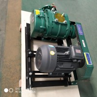 CCR125  罗茨鼓风机 容积式风机 厂家生产研发定制