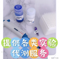 尿蛋白定性检测服务（磺基水杨酸法） 生化试剂