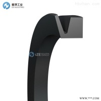 TRELLEBORGV型封V-190-A NBR