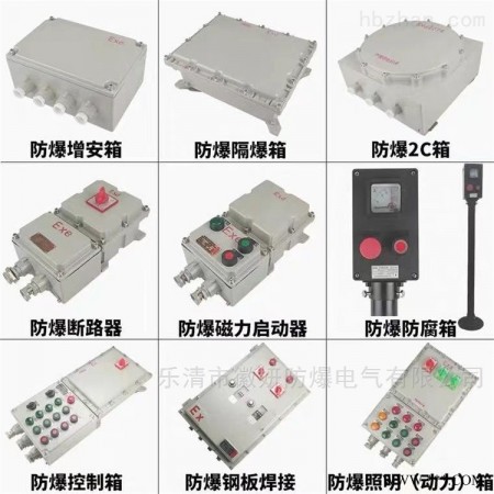 LBC  BZC51-D1G\24VDC防爆操作柱Exd IIBT6\WF1图1