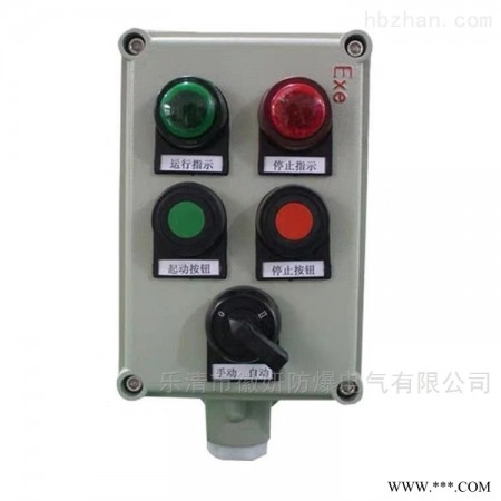 LBC  BZC53-A2D2K1G防爆操作柱图1