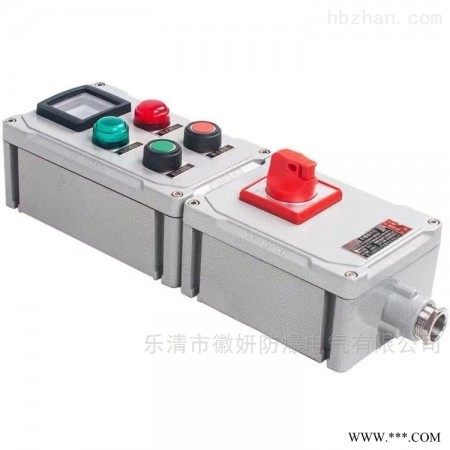 LBC  LNZ-A2D2G/WF2防水防尘防腐操作柱图1