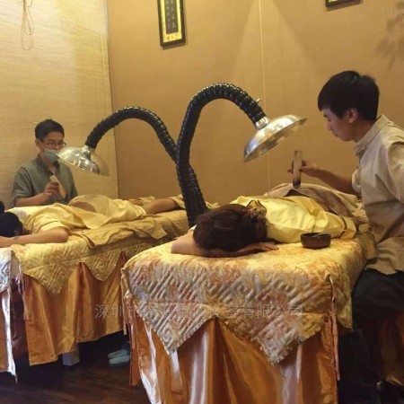 单口/双口  艾灸馆艾灸烟抽雾除烟净化机器图1
