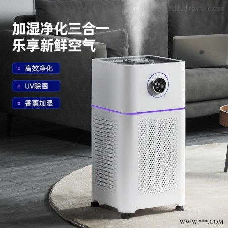 酒店杀菌除臭空气消毒机图1