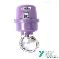 HONEYWELL火焰检测器C7061F2001 多气体检测仪