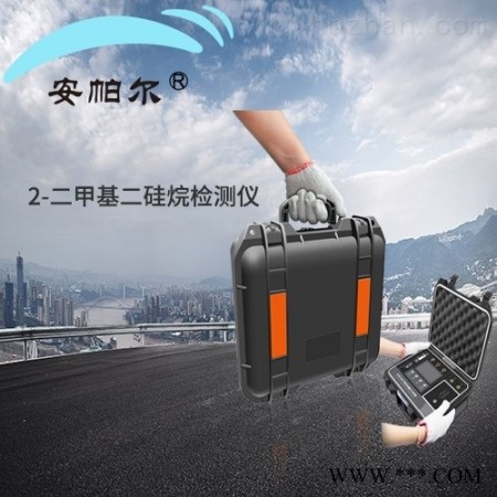 APES  手提式2-二甲基二硅烷气体浓度分析仪图1