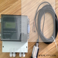 DAW501型在线余氯检测仪