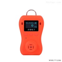DR-650  便携式一氧化碳检测仪