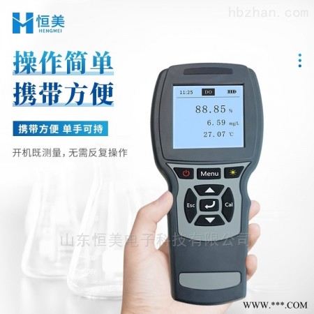 HM-RYG  溶氧仪图1