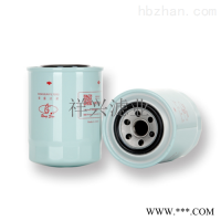 B222100000521适用于挖掘机柴油滤芯
