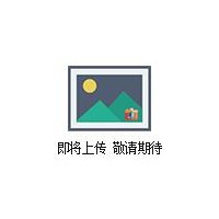 FD3013γ射线检测仪/γ辐射仪 FD3013