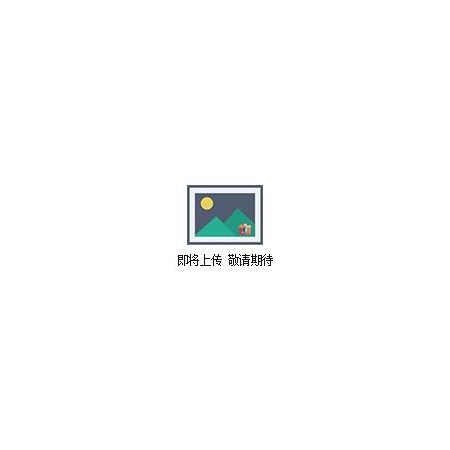 Inspector Alert手持式核辐射监测仪/便携式射线检测仪（现货抢购）图1