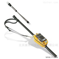 6150AD-T  德国Automess长杆辐射剂量率仪