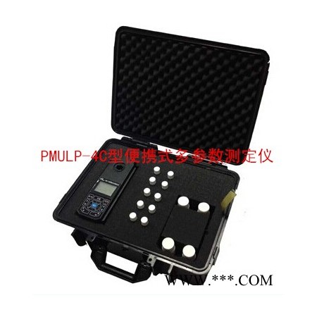 便携式多参数测定仪(PMULP-4C型)