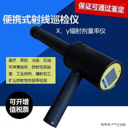 JV6000便携х、γ辐射检测仪