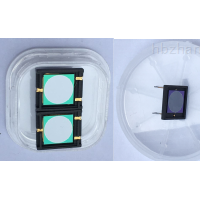 SP-D20-R14半导体及中子探测器 辐射测量仪