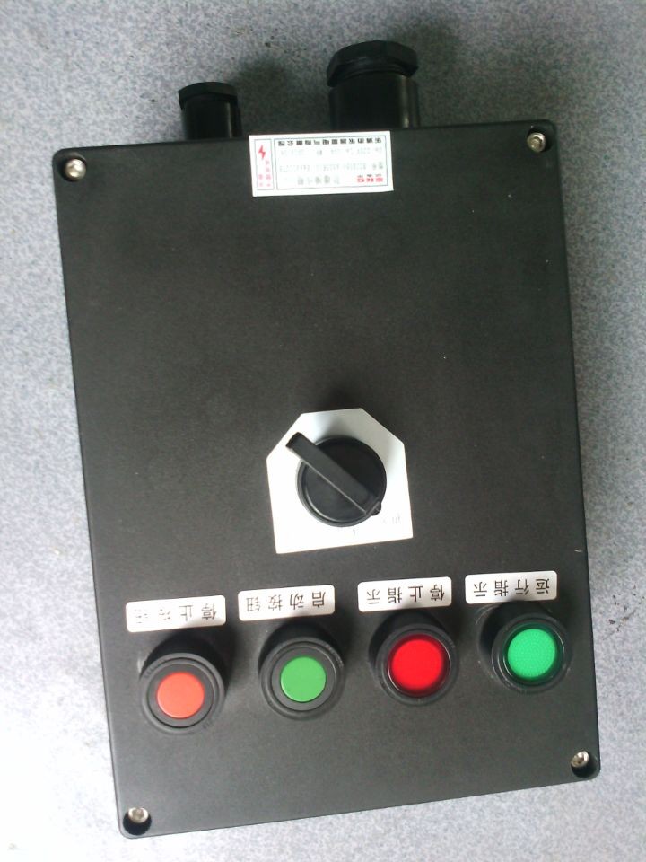 BZC8050-A2D2G防爆防腐操作柱