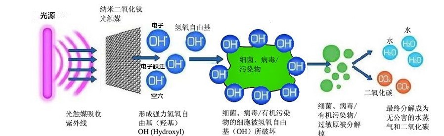 工业光氧等离子废气净化装置