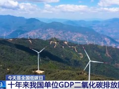 我國碳達峰、碳中和政策和行動保障體系已基本形成