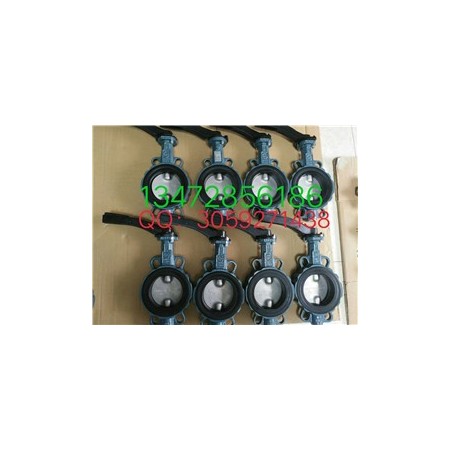 原装正品直销现货德国依博罗蝶阀Z011-A DN350多购优惠图6