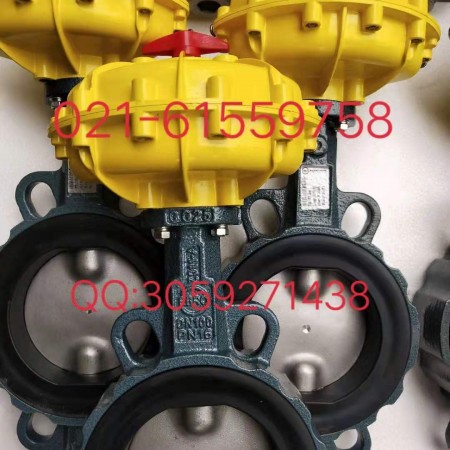 原装正品直销德国依博罗角行程电动执行器 E50-E210 多购优惠图2