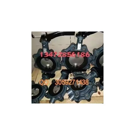 原装正品直销 德国依博罗(EBRO)气动衬胶蝶阀Z011-A 多购优惠图3